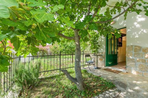 Holiday Home Zvecanje