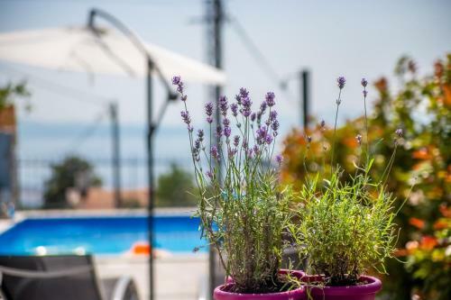 Villa Leti With Pool