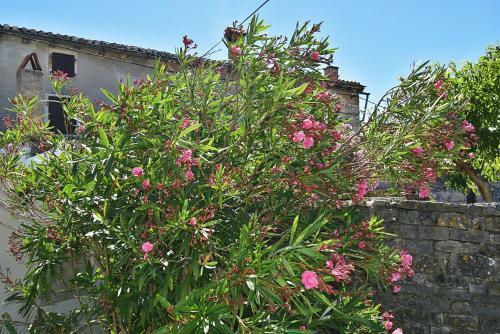 Holiday Home Oleandar