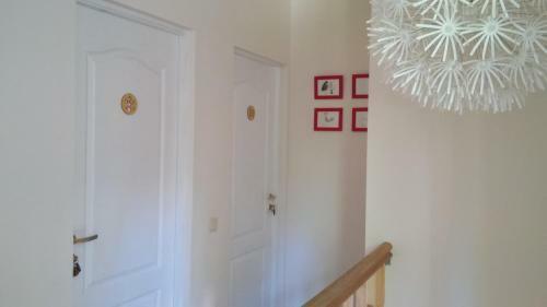 Hostal Beltes Street Guest House
