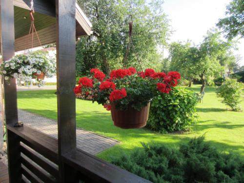 Hostel Livonija