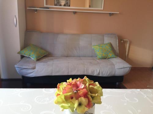 Beautiful Apartments With Balcony And Garden - Bnm 2