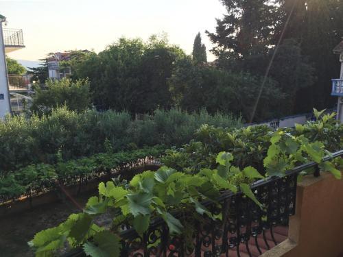 Beautiful Apartments With Balcony And Garden - Bnm 2