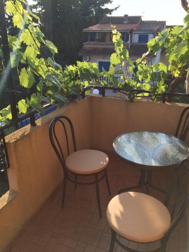 Beautiful Apartments With Balcony And Garden - Bnm 2