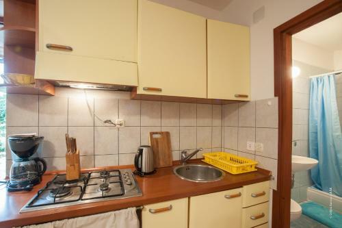 Apartment Nika