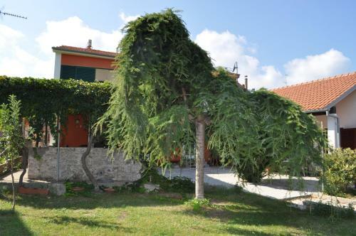 Apartment Nika