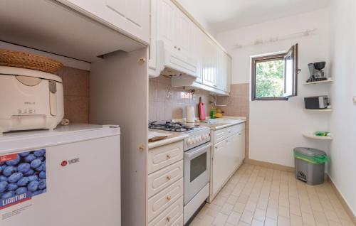 Apartment Domenico
