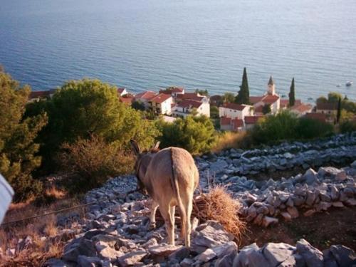 Apartment In Brist With Balcony, Air Condition, Wifi (3772-6)