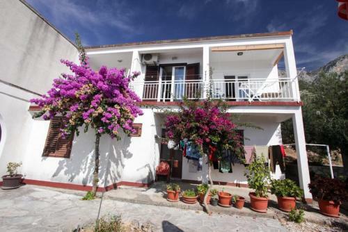 Hostal Apartments Elenora