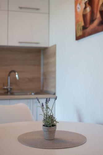 Hostal Lavanda House With Apartments