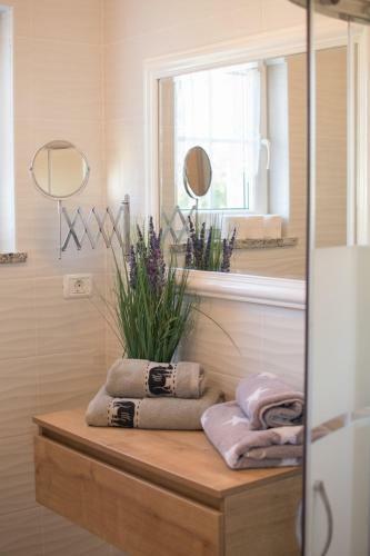 Hostal Lavanda House With Apartments