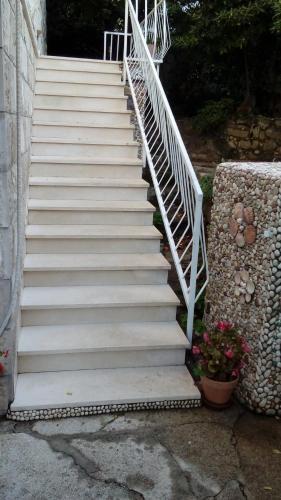 Immaculate 6-bed Villa In Cavtat