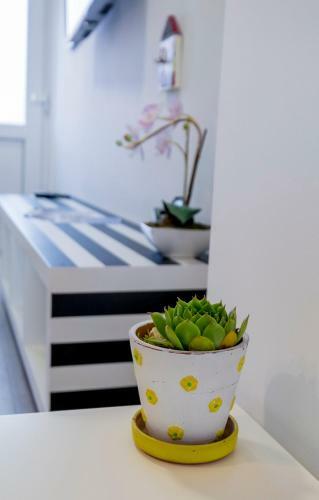 Apartamentos Le Petit