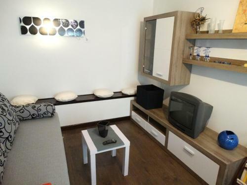 Apartment Sini?a
