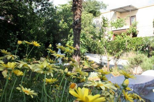 Apartment Verica