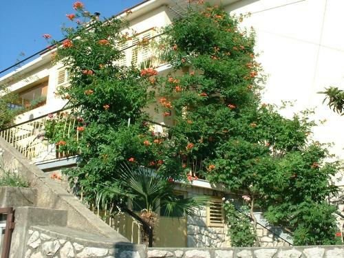 Apartments Ivo