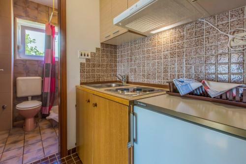 Apartamentos Pavlovic