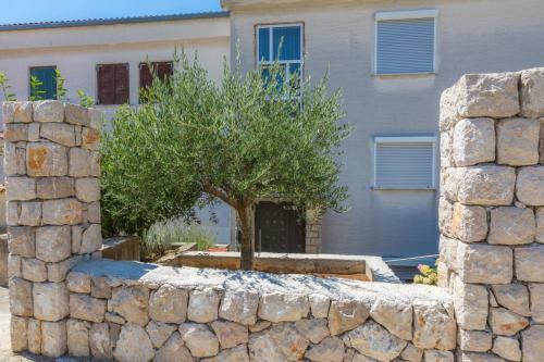Apartamentos Pavlovic