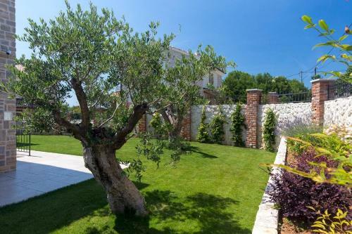 Luxury Villa Nika