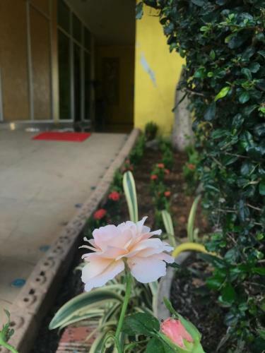 Nakaraj Princess Hotel