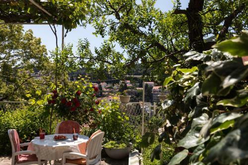 Hostal Begovi? Guest House
