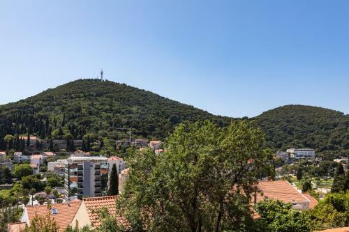 Hostal Begovi? Guest House
