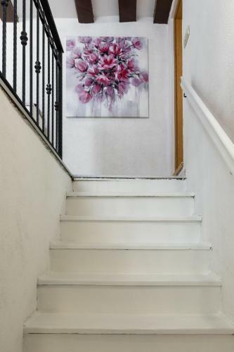 Apartamentos Old Town Charming Nest