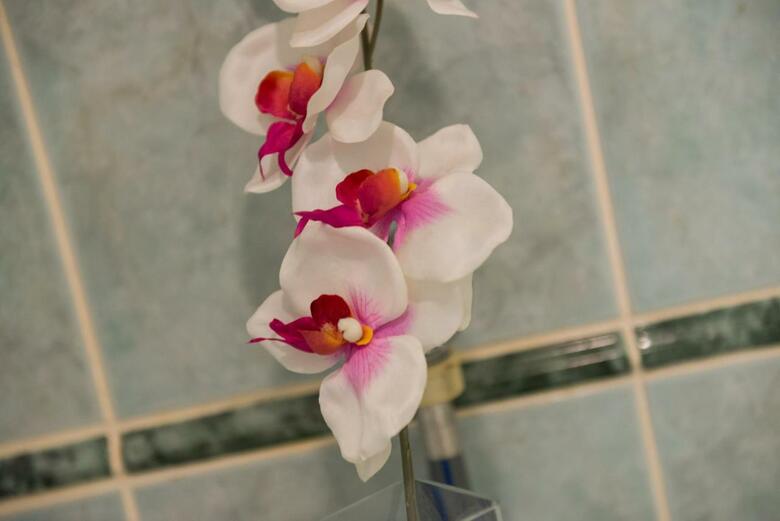 Apartamentos Studio Lapad Beach