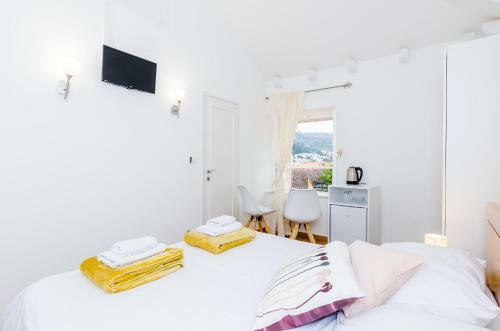 Hostal Cinema View House