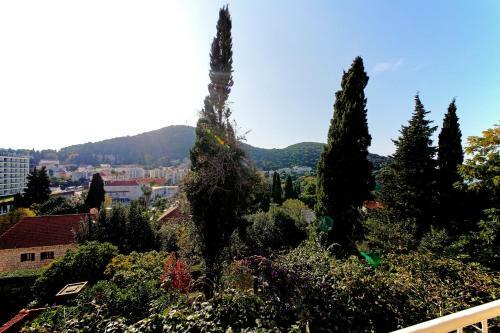 Apartment Villa Vala