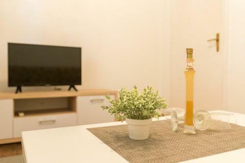 Apartment Tranquilo Garden