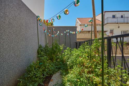 Apartamento Dominium Garden Lapad Suite