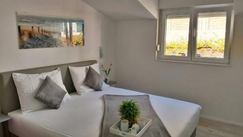 Apartments Dama