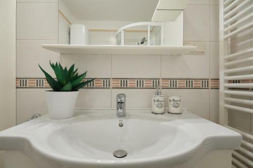 Apartment Terra