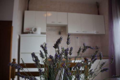 Apartments Stanka - Cozy And Comfy