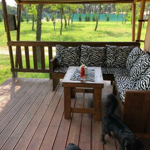 Glamping Safari Home