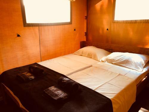 Glamping Safari Home
