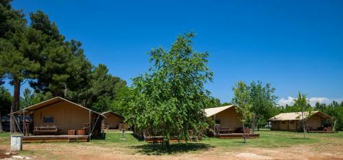 Glamping Safari Home