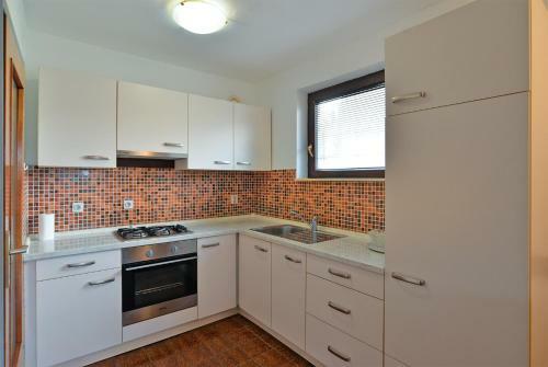 Apartment Ivan 2066