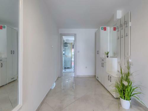 Apartment Meden