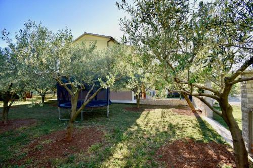 Delightful New Holiday Apartment With Grill And Trampoline