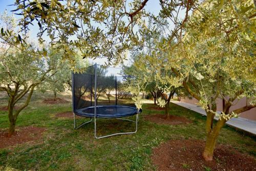 Delightful New Holiday Apartment With Grill And Trampoline