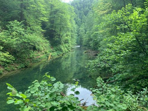 Holiday Home Lupi-eco Property Kosanovici