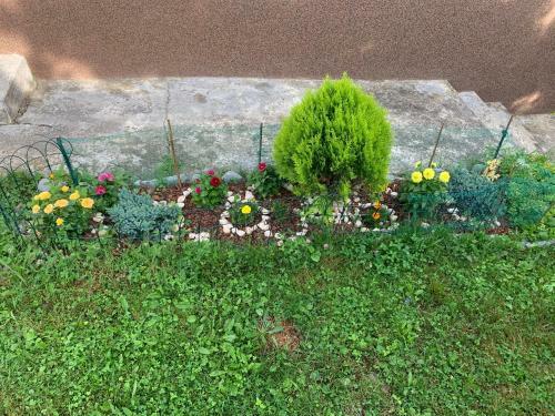 Holiday Home Lupi-eco Property Kosanovici
