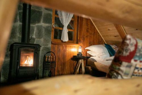 Villa Bistrica Cottage