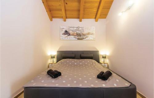 Three-bedroom Holiday Home In Gostinjac