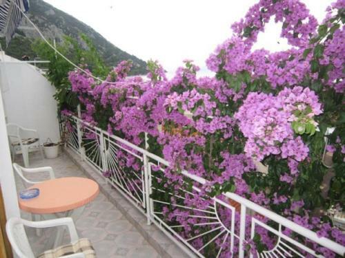 Apartment Graci - 20 M From Beach