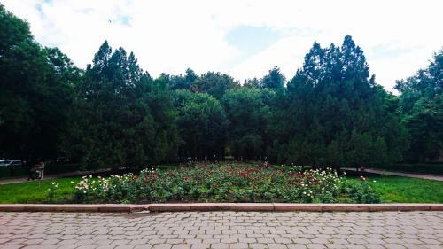 Apartamento Home Hotel Bishkek