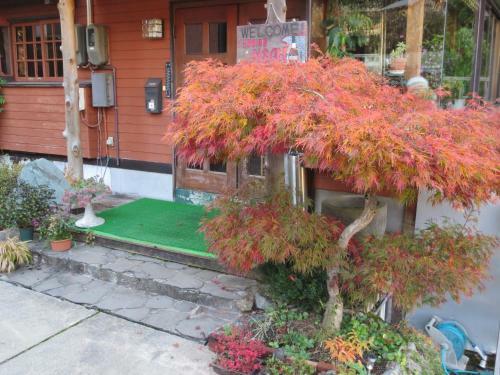 Posada Pension Noah