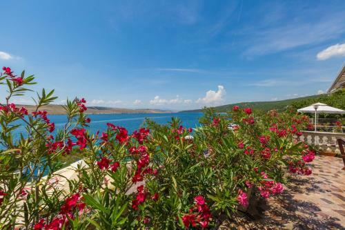 Apartamentos Ahel